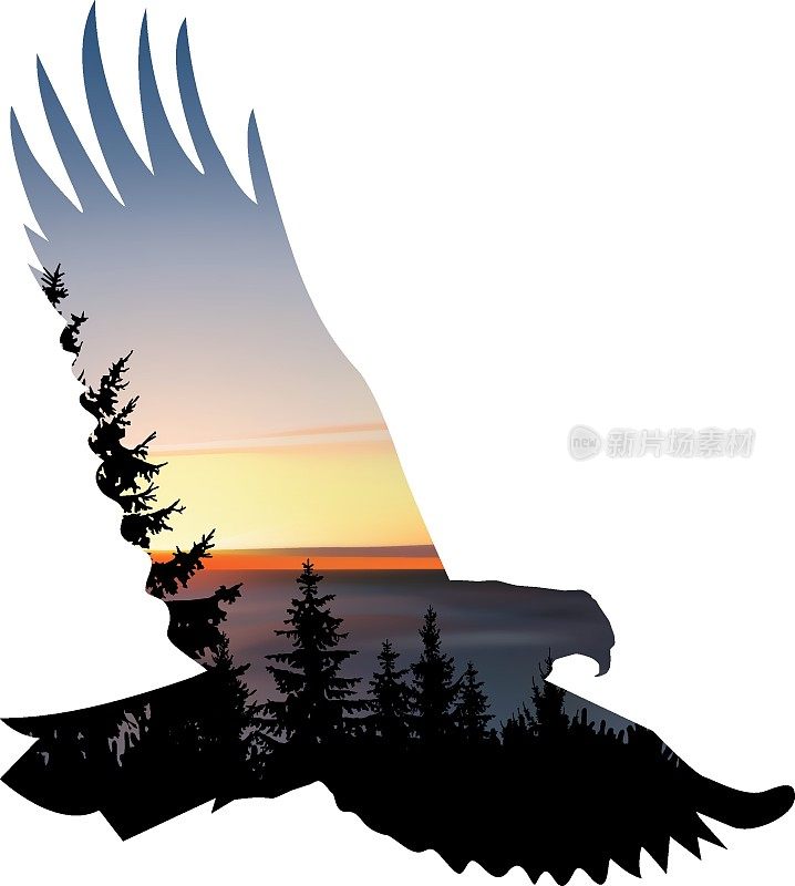 Silhouette of eagle